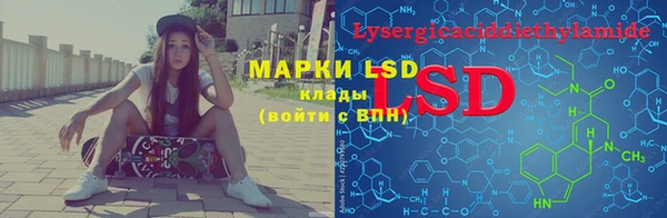 ГАЛЛЮЦИНОГЕННЫЕ ГРИБЫ Арсеньев