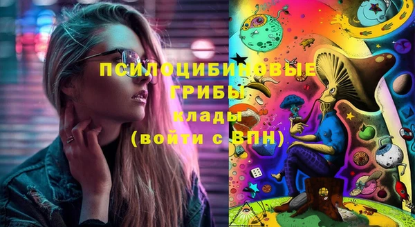 ГАЛЛЮЦИНОГЕННЫЕ ГРИБЫ Арсеньев
