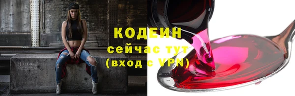 ГАЛЛЮЦИНОГЕННЫЕ ГРИБЫ Арсеньев