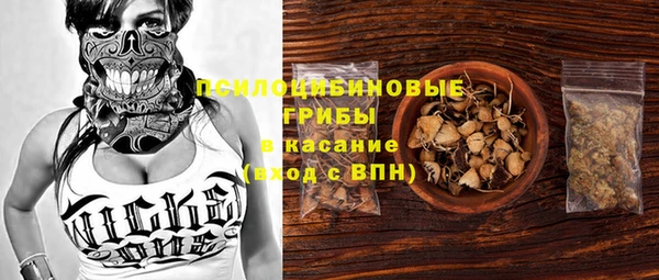 первитин Армянск