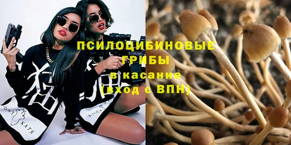 ГАЛЛЮЦИНОГЕННЫЕ ГРИБЫ Арсеньев