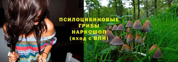 первитин Армянск