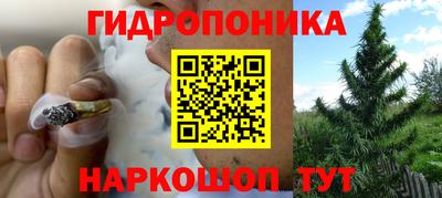 круглые Заводоуковск