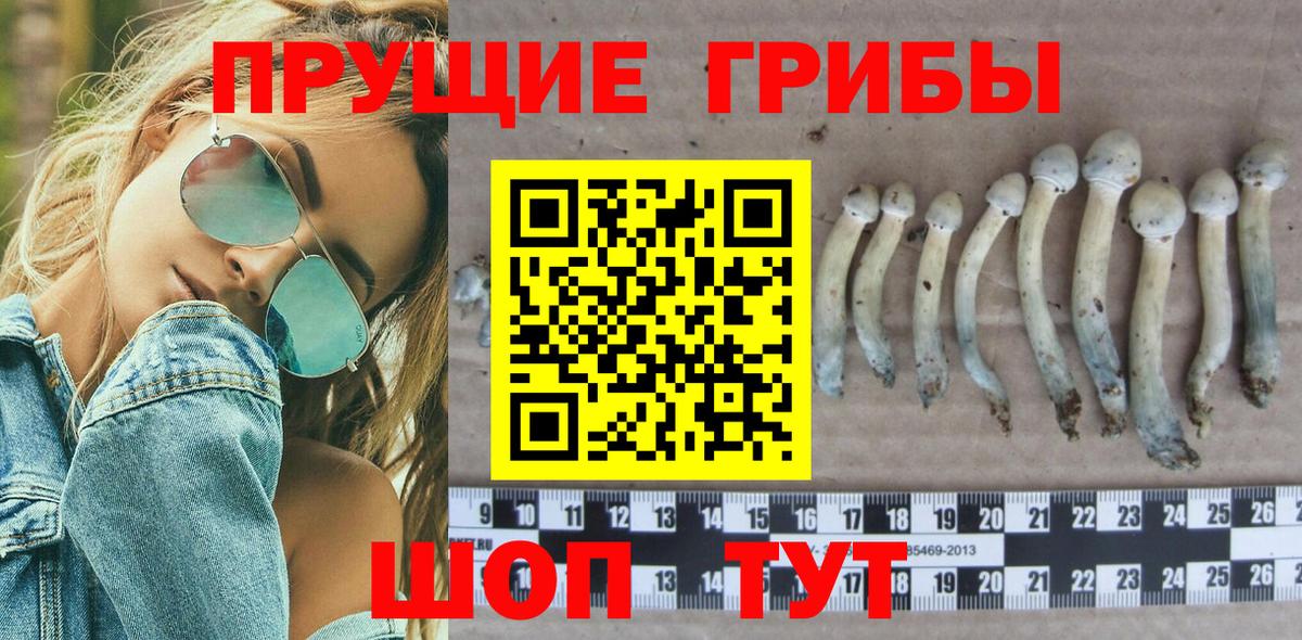 Галлюциногенные грибы GOLDEN TEACHER Заречный
