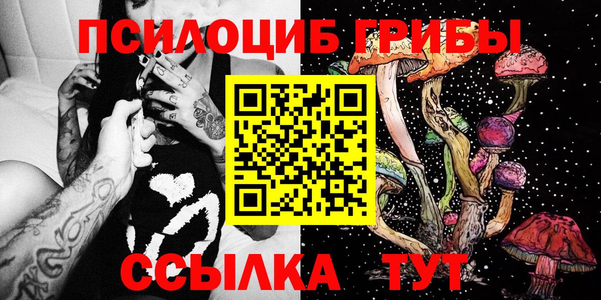 Псилоцибиновые грибы Cubensis  Псилоцибиновые грибы MAGIC MUSHROOMS  Вход с VPN  Заречный 